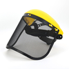Steel Mesh Screen Faceshield
