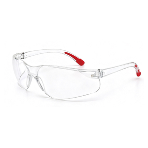 Clear/Dark Lens Safety Glasses
