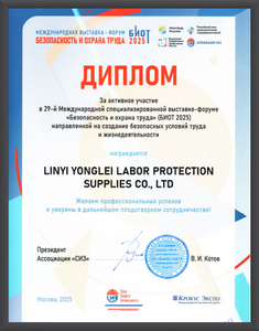 Certified Safety Helmets for Protection